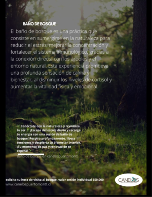 "Sesión de Baños de Bosque"