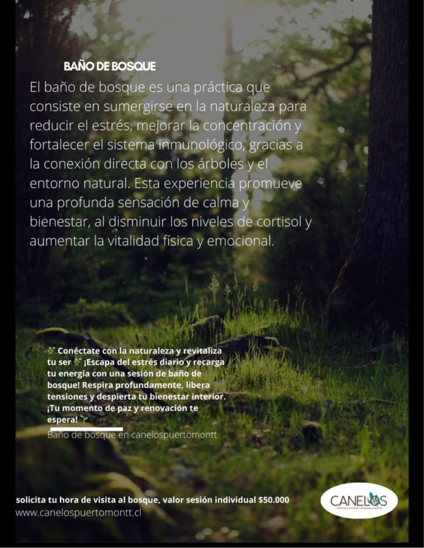 "Sesión de Baños de Bosque"