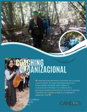 "Coaching Organizacional"
