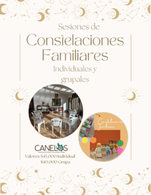 "Sesión de Constelaciones Familiares"