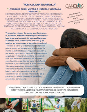"Sesión de Horticultura Terapéutica"