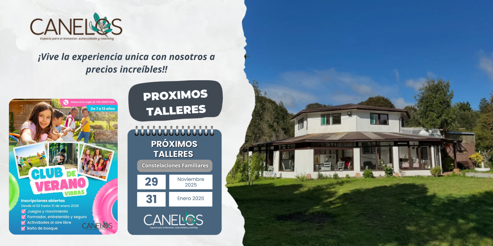 Texto del párrafo (3)